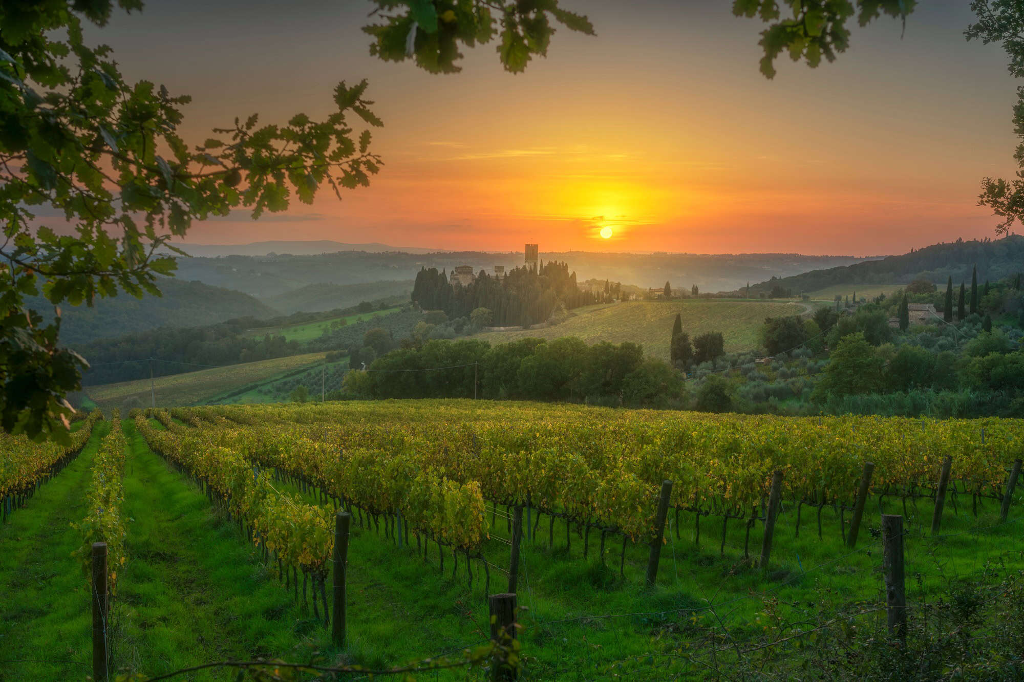 Vineyards at sunset and the Abbey of Badia a Passignano in the Chianti area. Tuscany, Italy